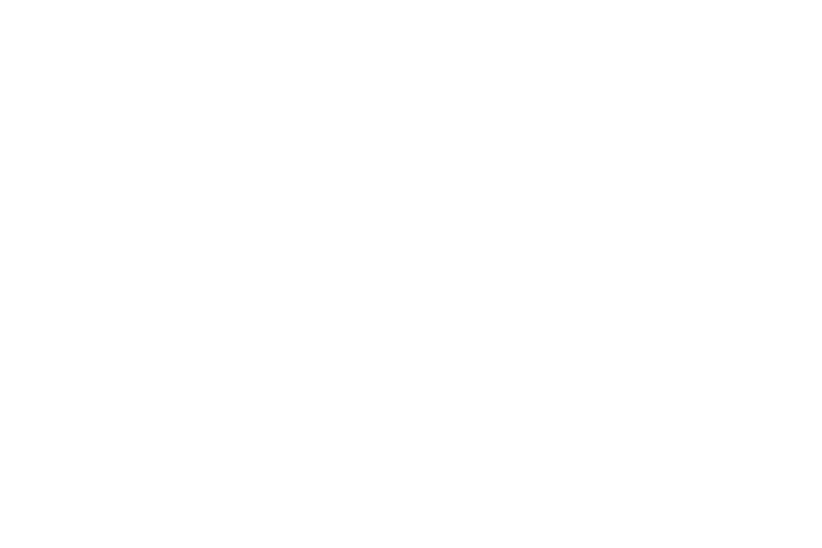 Yale Realty & Capital Advisors