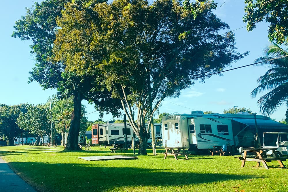 3 Star, 325-375 Sites, RV Resort, Miami Florida