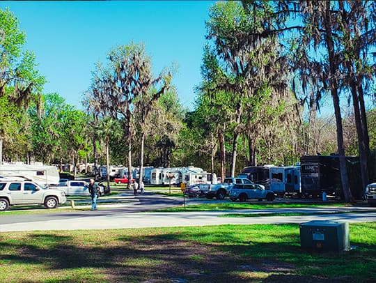 4.5 Star, 400 +/- Sites, RV Resort, Gainsville Florida