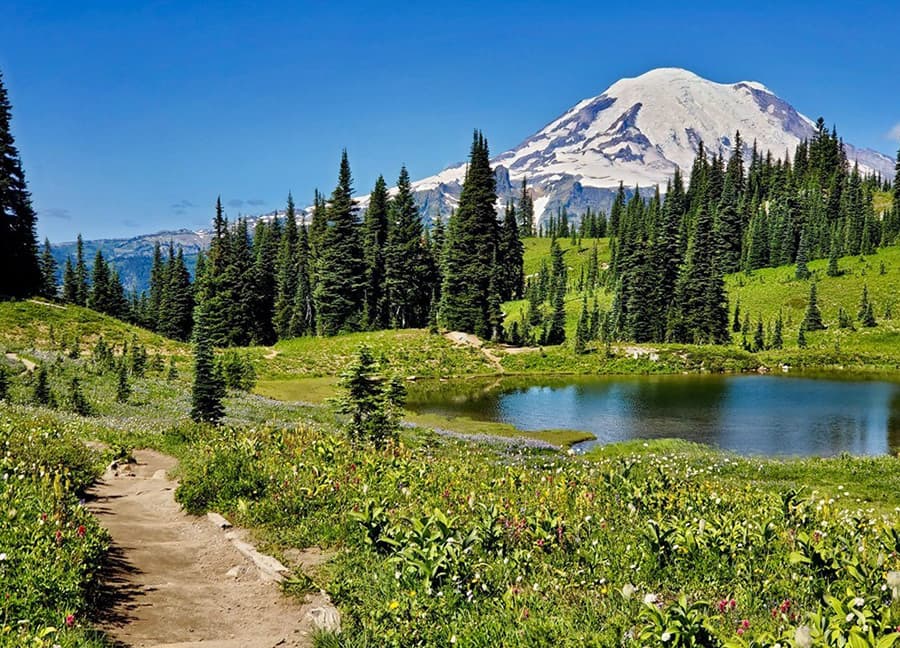 5 Star, 200+/- Site RV Development in Washington